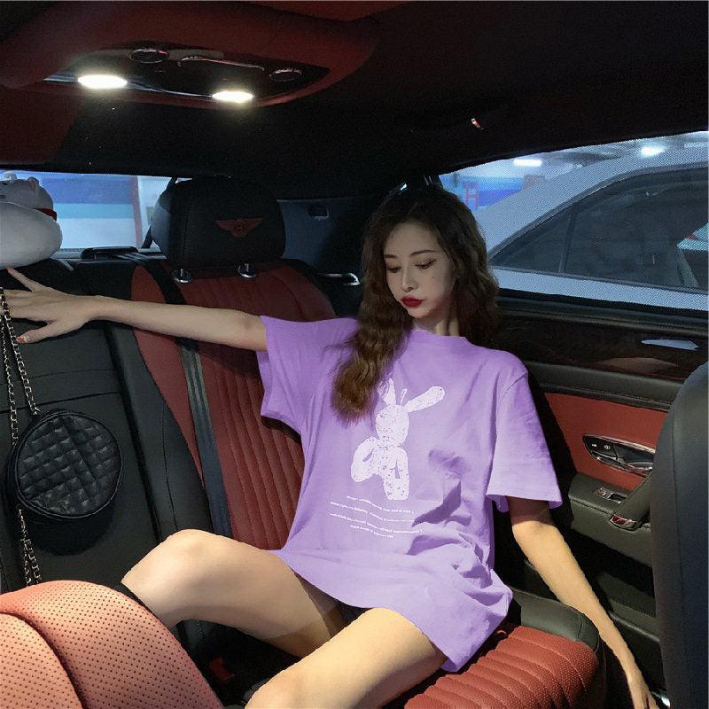 11300313